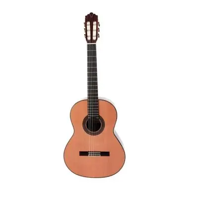 Prix Bas Guitare ClassiqueProdipe Soloist 900 - Lordel musique
