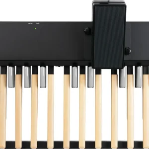 Nord Pedal Unit For C2 Organ (w/27 Keys) Must-Have