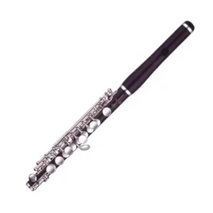 Expédition Rapide Lyric Grenadilla Wood Piccolo with Wave-Style Headjoint and Split E