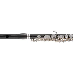 Offre Spéciale Selmer SPC711 Professional Grenadilla Piccolo with Silver Plated Keys
