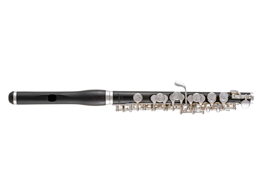 Offre Spéciale Selmer SPC711 Professional Grenadilla Piccolo with Silver Plated Keys