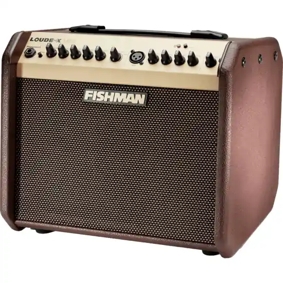 Ampli acoustique Fishmann LBT-500 Achat Immédiat