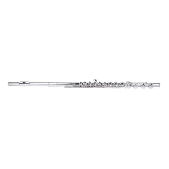 Acheter Direct Miyazawa PB102RH Flûte Tête plaque et noyau argent + patte de Si
