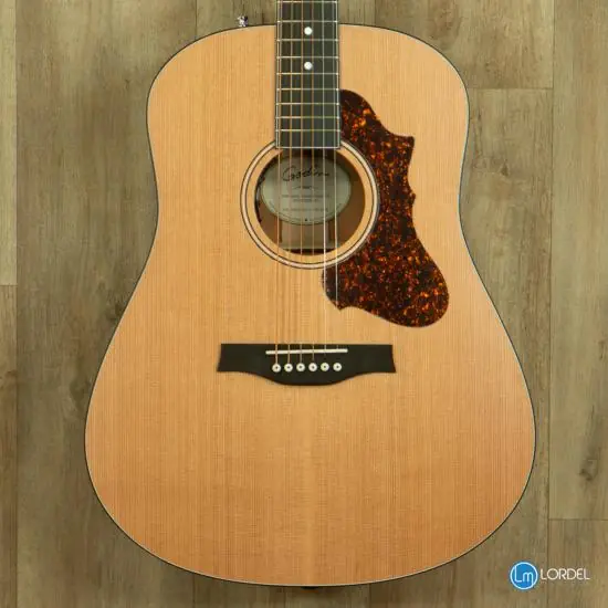 Guitare electro-acoustique Godin Metropolis limited Prix Bas