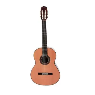 Remise DISCONTINUE Guitare classique Prodipe Soloist 900R 4/4
