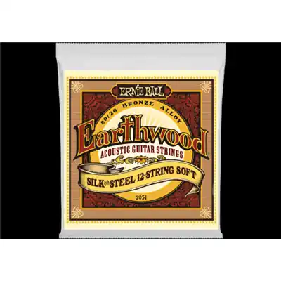 Cordes Guitare Folk Ernie Ball 12-Cordes Soft 09-46 09-26 Earthwood Silk & Steel Authentique