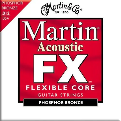 Commander Maintenant Cordes Guitare Folk Martin FX 12-54