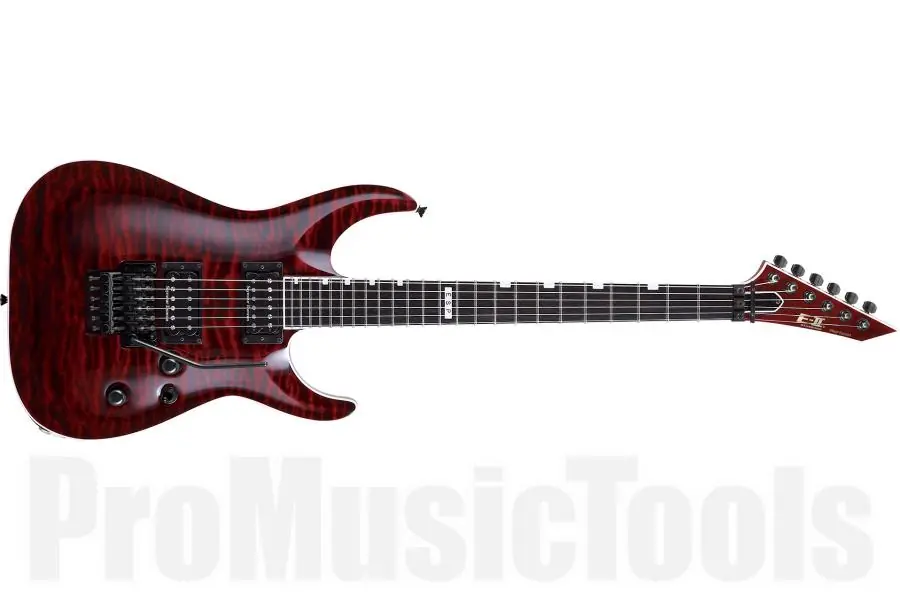 Acheter Direct ESP E-II Horizon FR-II STBC - See Thru Black Cherry