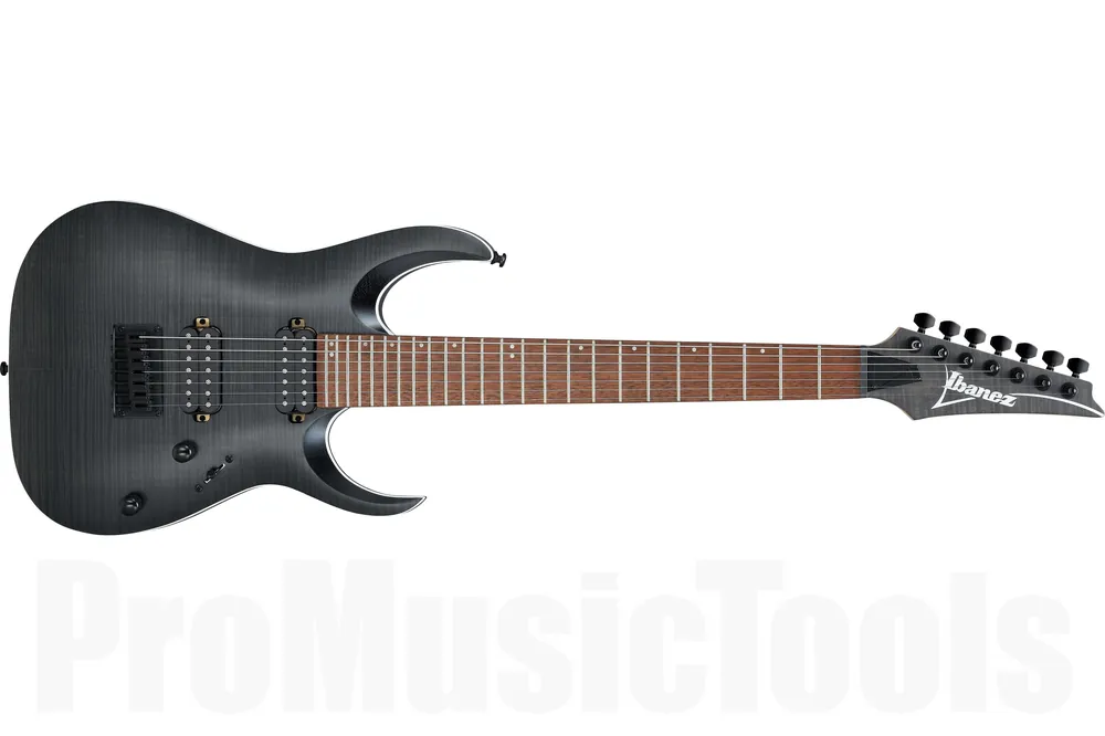 Haute Qualité Ibanez RGA742FM TGF - Transparent Gray Flat