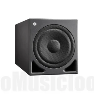 Vente Flash Neumann KH 810 Subwoofer