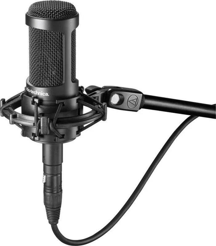 Bon Plan Audio-Technica AT2035 Condenser Microphone