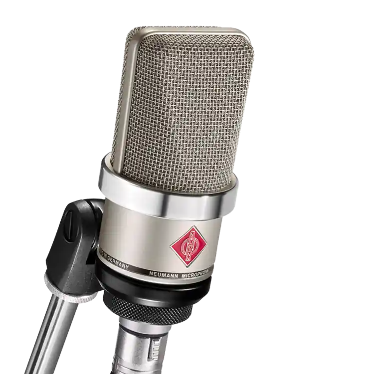 Prix Choc Neumann TLM 102 Large Diaphragm Condenser Microphone - Nickel