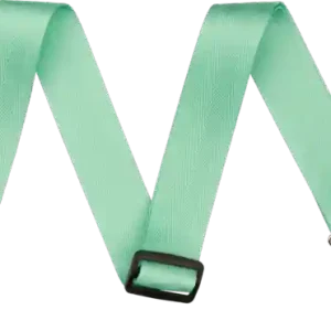 Prix Bas 2 Am Pro Seat Belt Strap, Mystic Surf Green