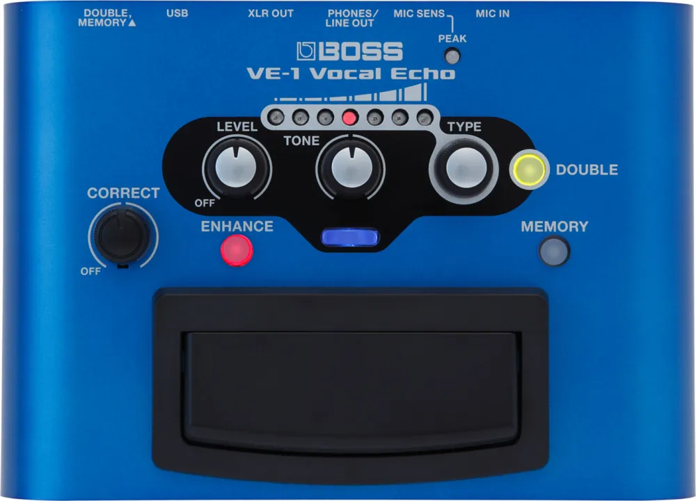 BOSS Vocal Echo with Pitch Correction Offre Exclusive
