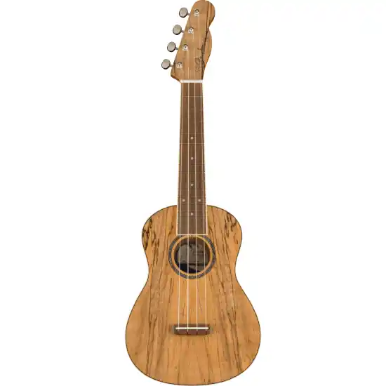 Nouvel Arrivage Ukulele Concert Fender Zuma Spalted Maple