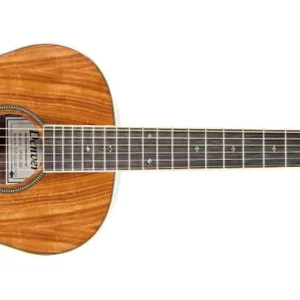 Acheter En Ligne Denver Parlor Size Acoustic Guitar - Koa