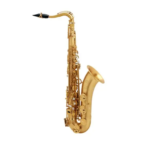 Prix Réduit Selmer Signature brossé gravé - Saxophone ténor professionnel avec étui et bec complet