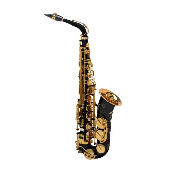 Achetez Aujourd'hui Selmer Signature noir gravé - Saxophone alto professionnel avec étui et bec complet