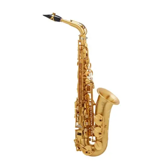 Super Prix Selmer Signature brossé gravé - Saxophone alto professionnel avec étui et bec complet