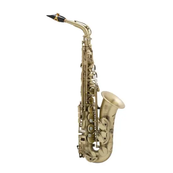Selmer Signature passivé gravé - Saxophone alto professionnel avec étui et bec complet Meilleur Choix