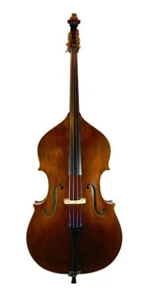 Top Vente Samuel Shen SB88 3/4 Bass