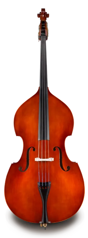 Seulement Aujourd'hui Eastman Strings VB80ST Laminate Bass Outfit with Bow and Bag - 5/8