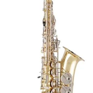 Populaire Selmer Advanced Student Alto Saxophone with Rose Brass Neck