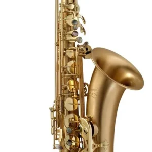 Prix Cassé P Mauriat Le Bravo Tenor Sax