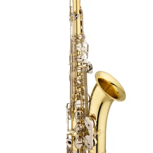 Meilleur Prix Eastman Winds ETS281 Tenor Saxophone Outfit - Clear Lacquer