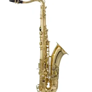 Conn Selmer Inc Prelude Tenor Saxophone Student Outfit Petit Prix