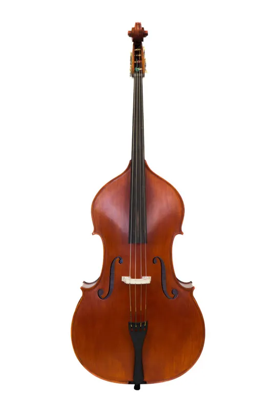 Carlton 3/4 Carved Double Bass Outfit with Case and Bow Offre Spéciale