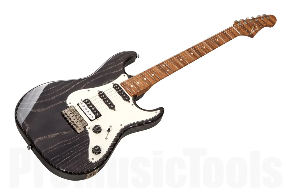 Patrick James Eggle "96" Vintage HSS BGG - Black Grained Gloss Quantité Limitée