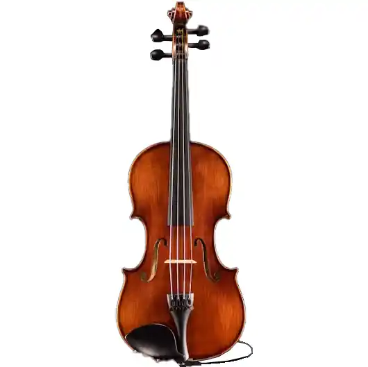 Promotion Eastman Strings VL145+ Samuel Eastman Electro-Acoustic Violin Outfit