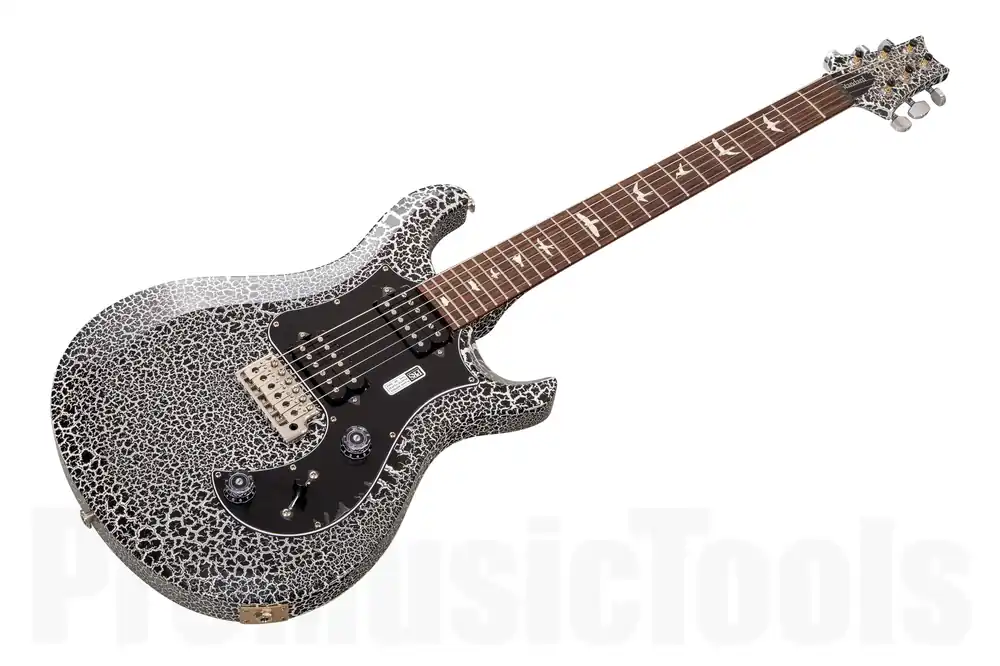 PRS USA S2 Standard 24 CC - Black & White Crackle - Custom Color - Birds Nouvel Arrivage