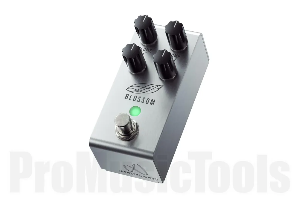 Jackson Audio Blossom Meilleur Choix