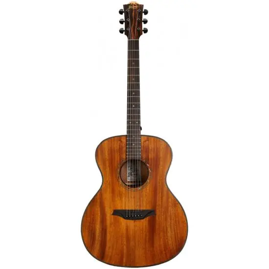 Expédition Rapide Guitare folk Bromo Bat2M