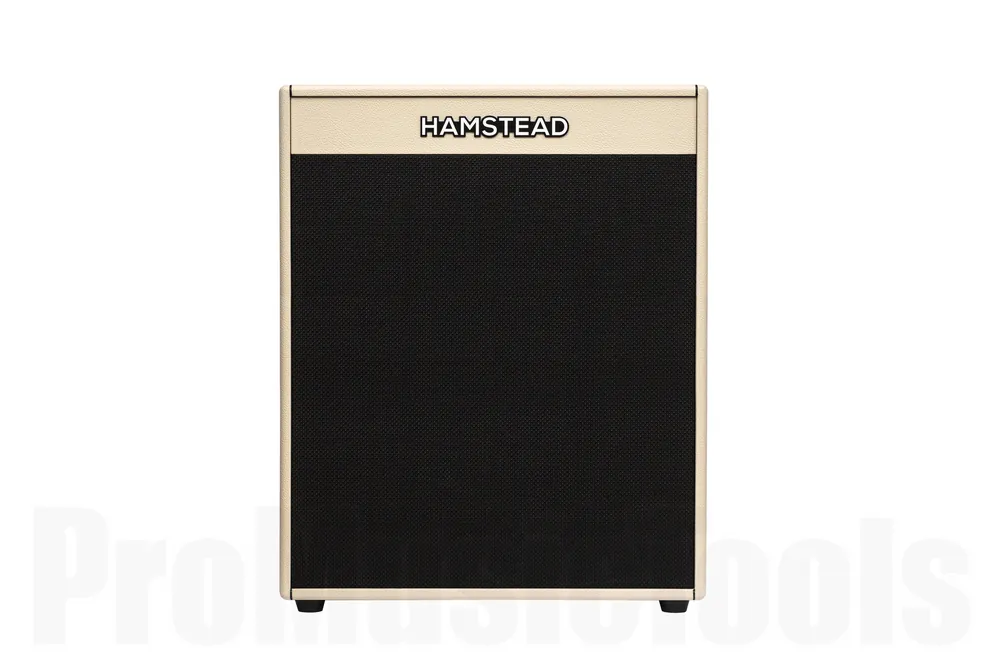 Authentique Hamstead Soundworks 2x12" Cabinet