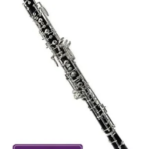 F. Loree C+3 Grenadilla Oboe, AK Bore - w/Case & Cover Achetez Aujourd'hui