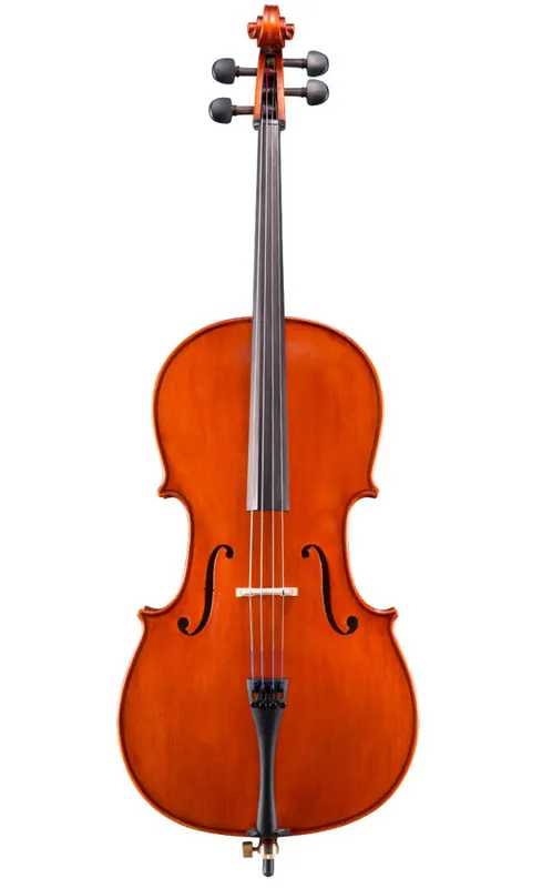 Vente Directe Eastman Strings VC100 1/2 Cello Outfit