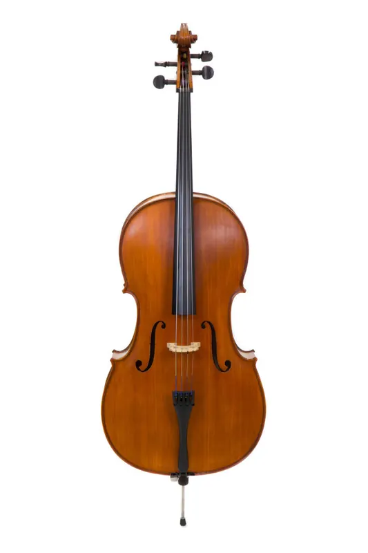Dernier Modèle Carlton 1/2 Student Cello Outfit with Padded Bag, Bow and Rosin