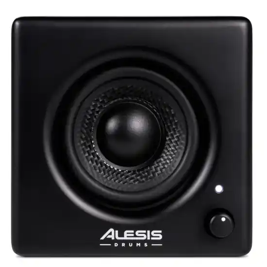 Authentique Alesis Nitroamp
