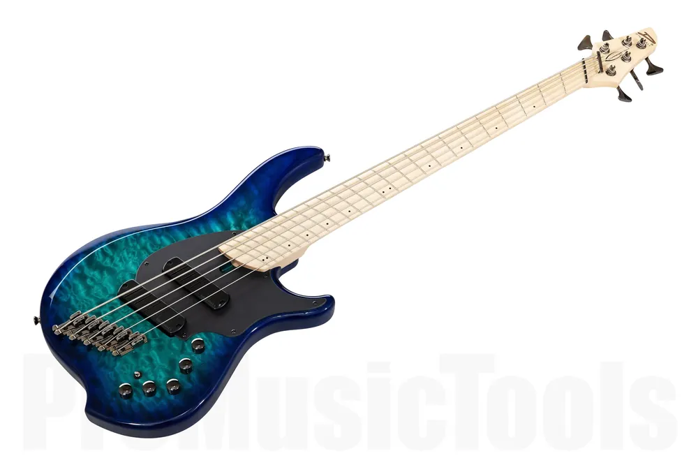 Dingwall CB2 Combustion 5 WB - Whalepool Burst Gloss MN Bon Plan