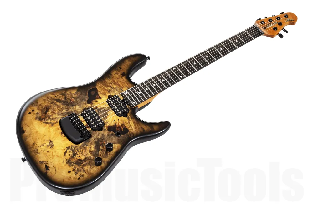 Usine Directe Music Man USA Cutlass 6 Jason Richardson Signature - Natural Buckeye Burl S06087