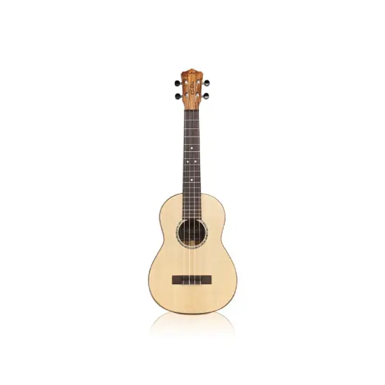 Prix Promo CORDOBA 35T UKULELE Tenor