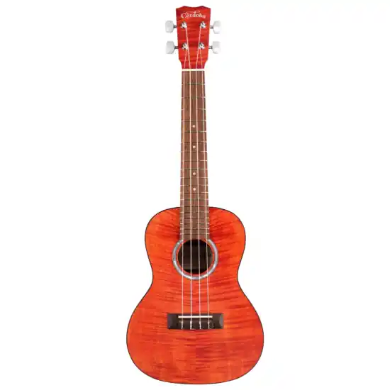 Produit De Marque Cordoba 15CFM Rose Red