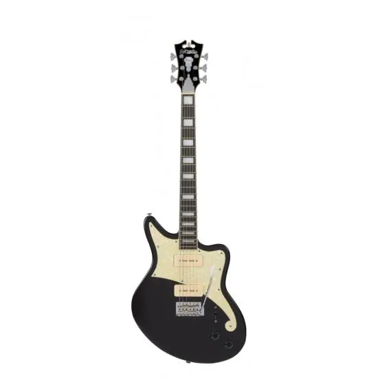 D‘ANGELICO Premier Bedford Blake Flake Super Prix