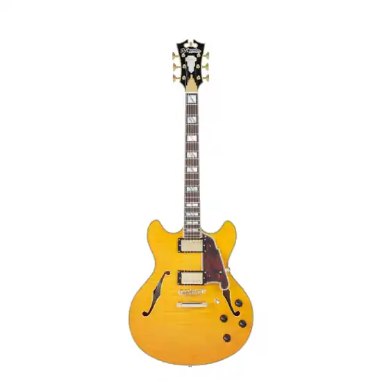 D‘ANGELICO Excel DC Vintage Natural Marque