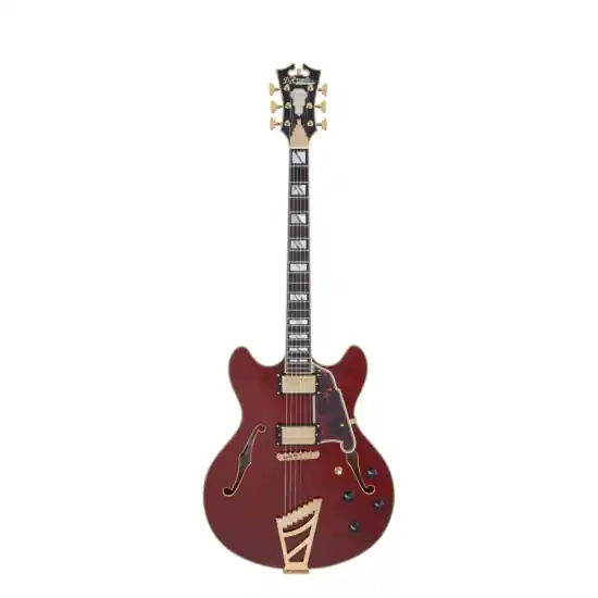 Nouvel Arrivage D‘ANGELICO Excel DC Viola