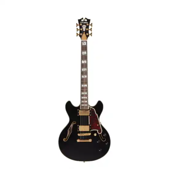 D‘ANGELICO Excel Mini DC Black Meilleur Choix