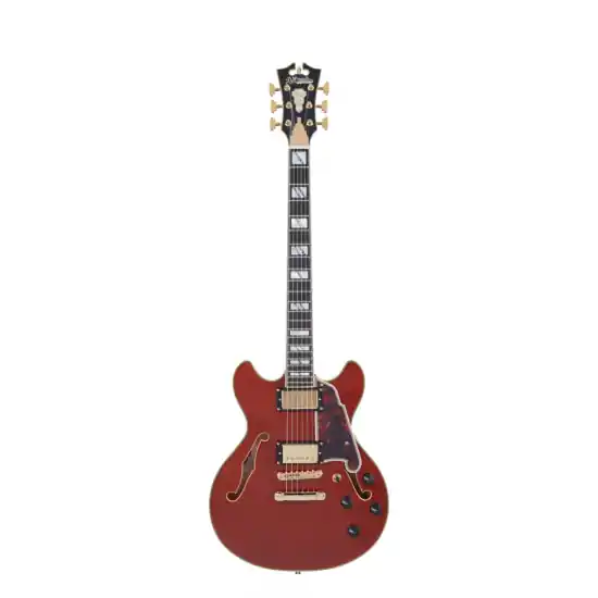 D‘ANGELICO Excel Mini DC Viola Dernier Modèle